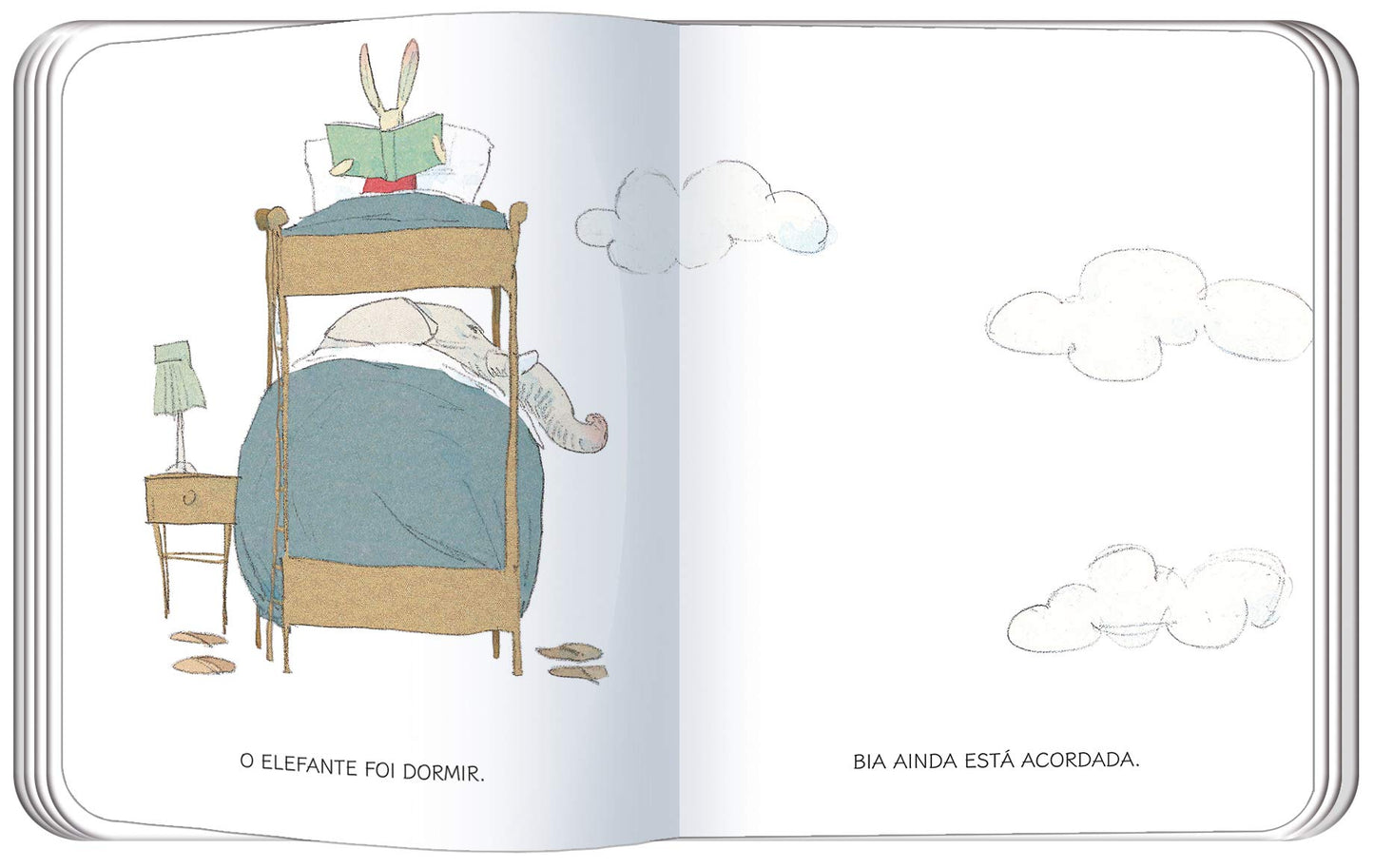 Bia e o Elefante